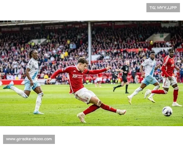 埃弗顿强势崛起，英超新贵锋芒毕露